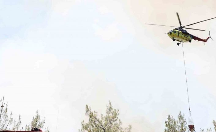 Sakarya’daki orman yangınında son durum: 2 mahallede tahliye işlemleri başladı