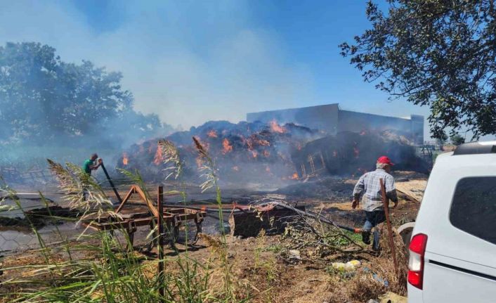 Saman alevi 2 kamyon ile 4 römorku yaktı