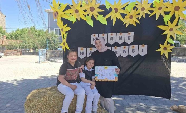 Saman balyalı karne hatırası panosu