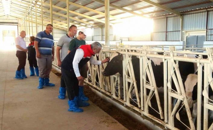 Samsun’da ari işletme sayısı 10’a yükseldi