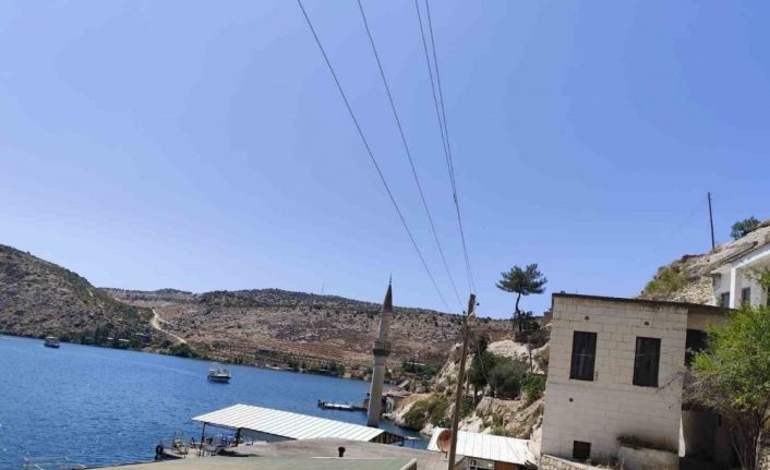 Şanlıurfa’da Afrika’yı aratmayan görüntü: Çizgili sırtlan kendisini görüntüleyenlere saldırdı