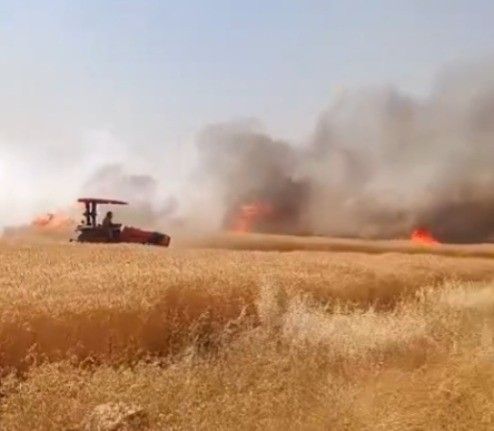 Şanlıurfa’da buğday tarlasında çıkan yangın kontrol altına alındı