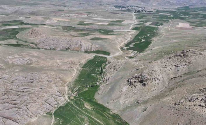 Saray’da 593 hektar arazi suya kavuşuyor