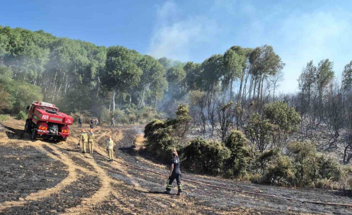 Şarköy’de tarlada çıkan yangın makilik alana sıçradı