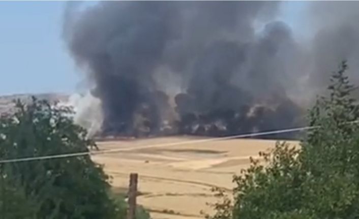 Siirt’te 350 dönümlük buğday tarlası yandı