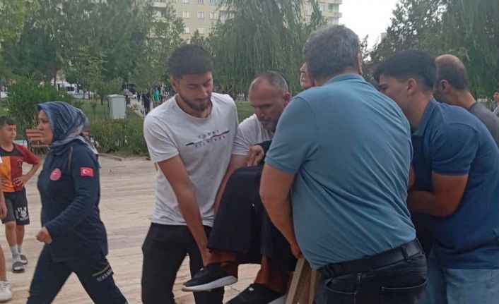 Siirt’te devrilen ağacın altında kalan 2 kişi yaralandı