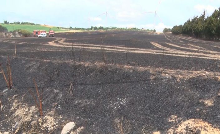 Silivri’de sigara izmariti 30 dönüm buğdayı küle çevirdi