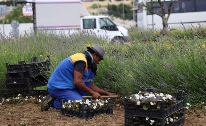 Silivri’de yaz aylarına hazırlıklar devam ediyor