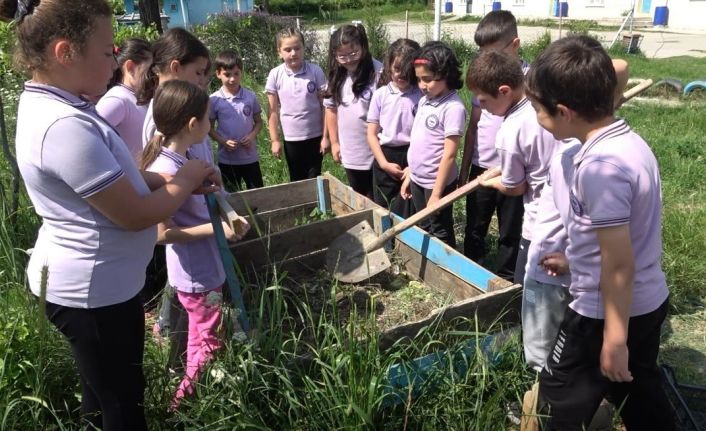 Sinop’ta çevreci eğitim modeli