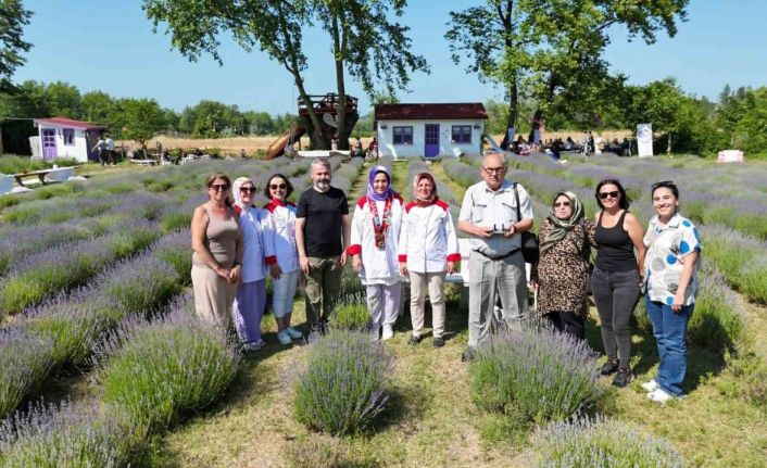 Sinop’ta lavanta kokulu gastronomi buluşması: Yöresel lezzetlere mor dokunuş