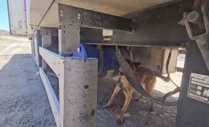 Şırnak’ta aracında 30 kilo uyuşturucuyla yakalanan şahıs tutuklandı