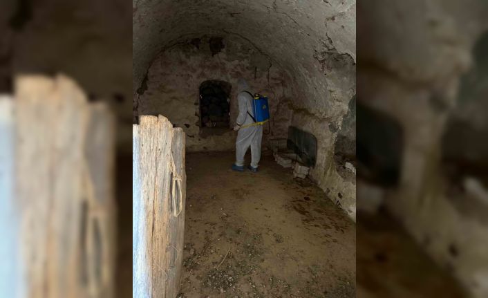 Şırnak’ta şap hastalığı tespit edildi bir köy karantinaya alındı