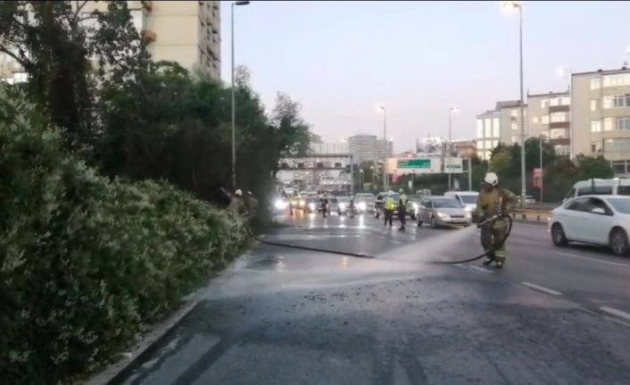 Şişli’de ağaçlık alanda çıkan yangın korkuttu