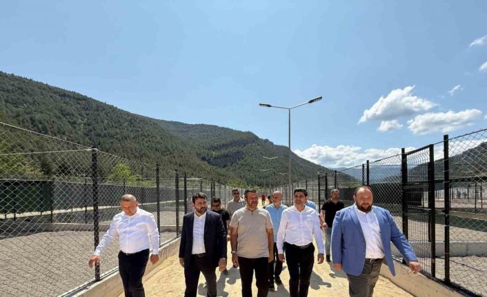 Sokak hayvanları için yapılan modern yaşam merkezi devreye alındı