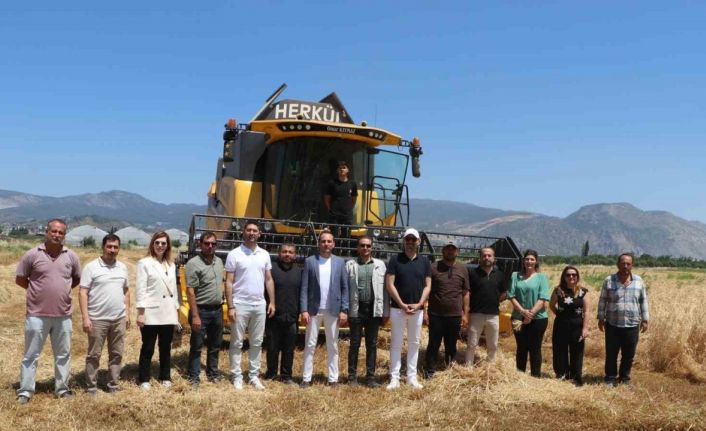 Söke Belediyesi’nde yeni sezonun buğday hasadı