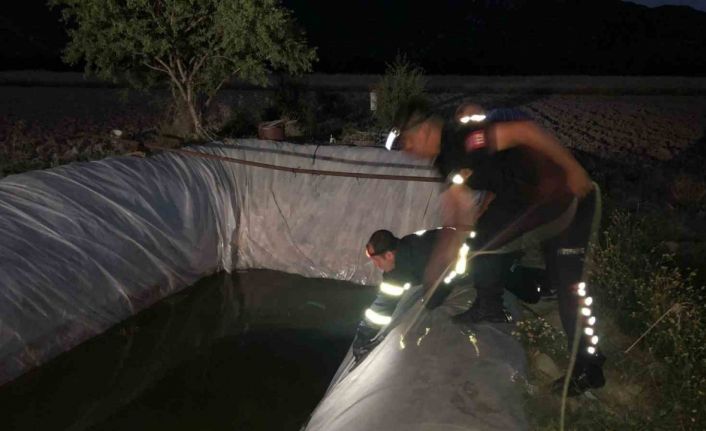 Su kuyusuna düşen sokak köpeği itfaiye ekiplerince kurtarıldı