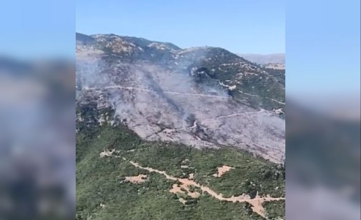 Sultanhisar yangınına müdahale sürüyor