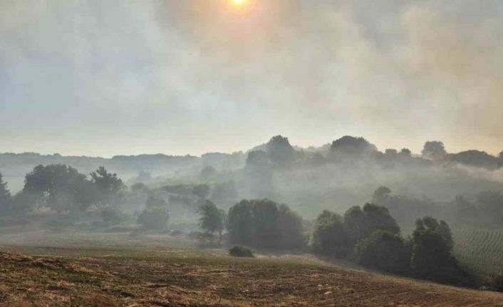 Susurluk Babaköy’de arazi yangını kontrol altına alındı