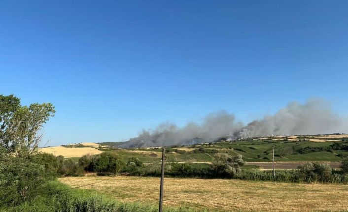 Susurluk’ta arazi yangını: Söndürme çalışmaları sürüyor
