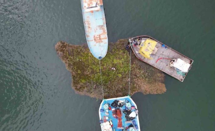 Tabiat varlığı yüzen adalar baraj ortasına sabitleniyor