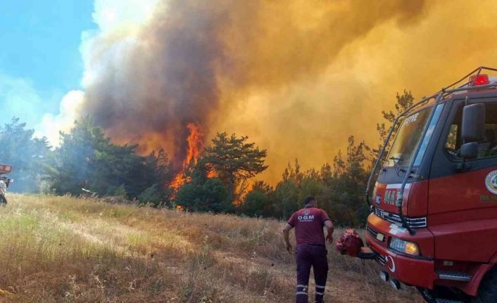 Taraklı’da çıkan orman yangını helikopterden görüntülendi