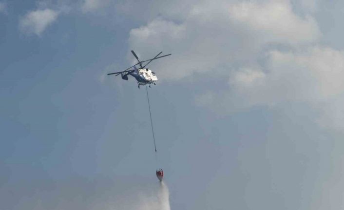 Taraklı’daki orman yangınına ilişkin gözaltına alınanlar serbest bırakıldı