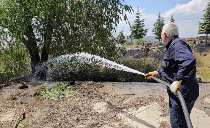 Tatvan’da çıkan yangında 50 dönümlük alan küle döndü