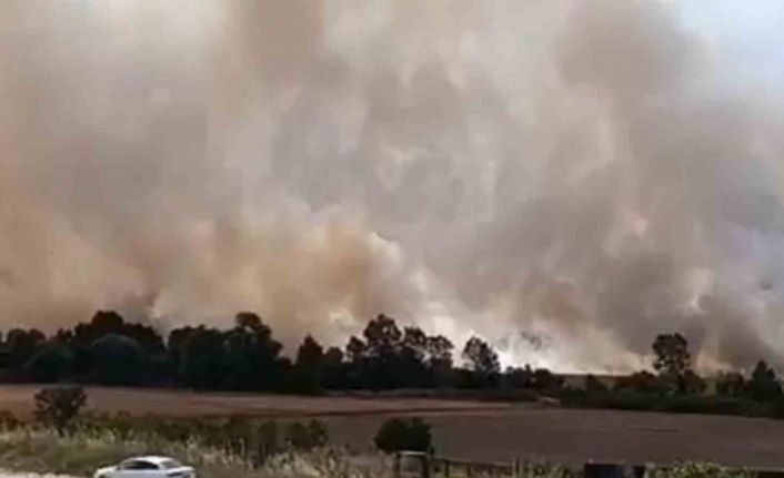 Tekirdağ’da 100 dönüm tarım arazisi yandı