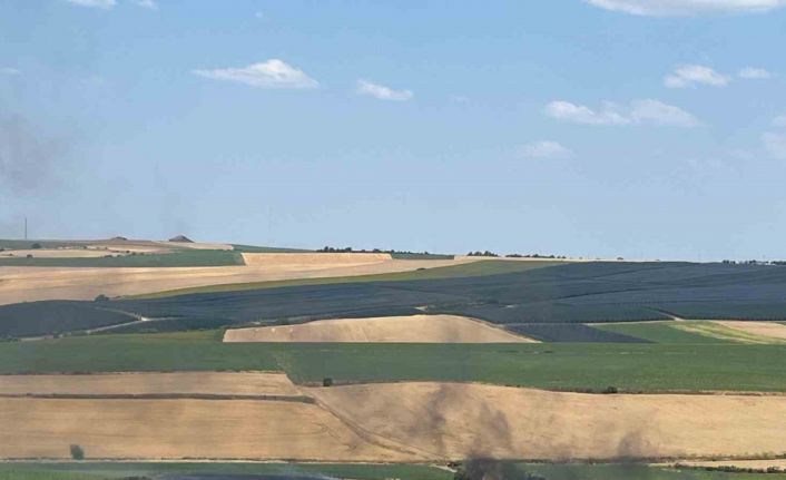 Tekirdağ’da 150 dönümde ekili buğday küle döndü