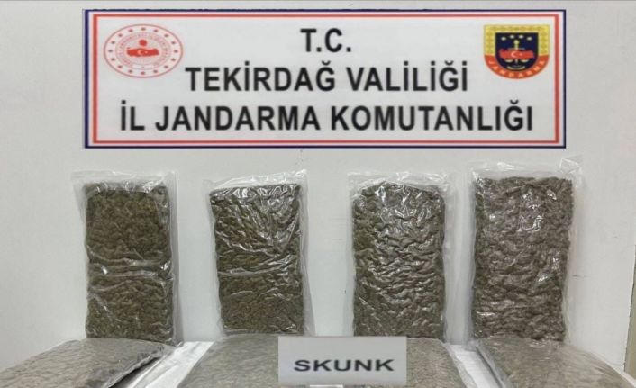 Tekirdağ’da otoyol gişelerinde 12 kilogram skunk ele geçirildi