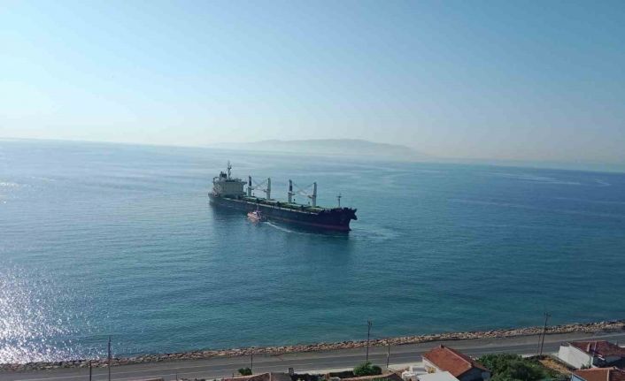Tekirdağ’da yük gemisi karaya oturdu