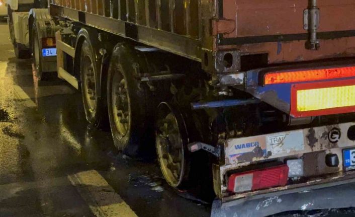 TEM’de seyir halinde olan tırın lastikleri alev aldı