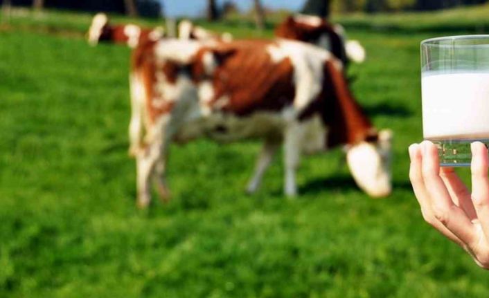 Ticari süt işletmelerince 981 bin 10 ton inek sütü toplandı