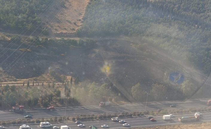 Tır alev aldı, ormanı tutuşturdu