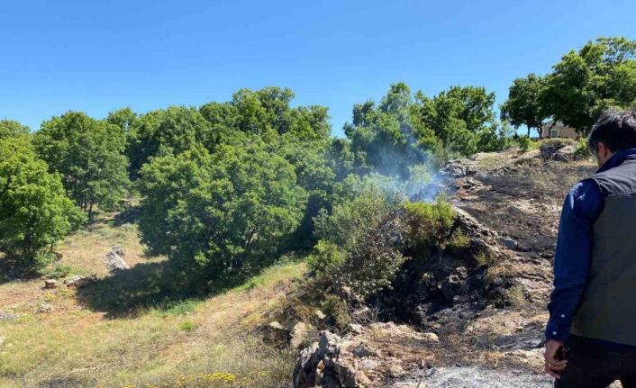 Tunceli’de yangın köye sıçramadan engellendi
