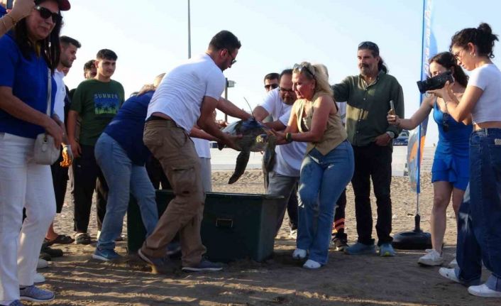 Uydu cihazı takılan kaplumbağa ’Atlas’ denize bırakıldı