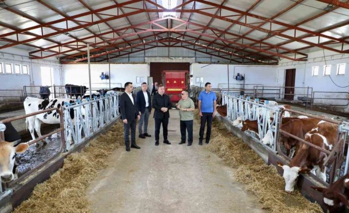 Vali Aydoğdu Düve Üretim Merkezi’nde incelemelerde bulundu