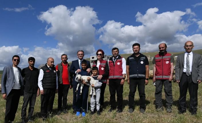 Van’da 3 yılda 2 bin 375 çiftçiye 235 bin koyun desteği verildi