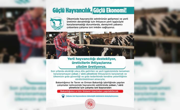 Yabancı çobanlar için çalışma izni başvuruları başladı