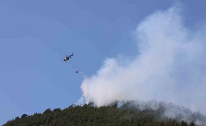 Yakılan anız, orman yangınına neden oldu: Müdahale sürüyor