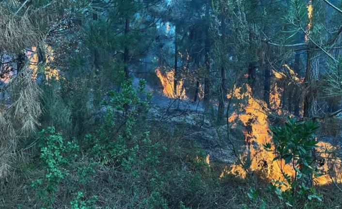Yangın riskine karşı kritik uyarı: Yasal işlem uygulanacak