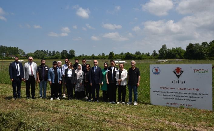 Yapay mera ile 4-5 kat fazla yem verimi sağlanacak