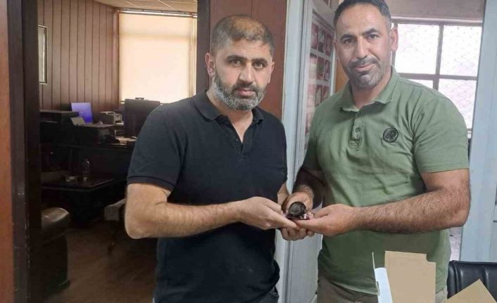 Yaralı halde bulunan ebabil kuşu doğa koruma ekiplerine teslim edildi