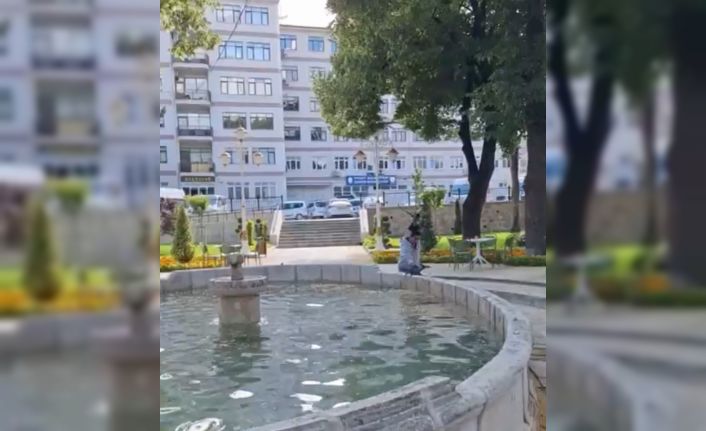 Yavru kargayı kurtarmak istedi, diğer karganın saldırısıyla hastanelik oldu