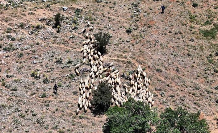Yaylada zorlu şartlara rağmen üretmeye devam ediyorlar