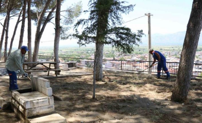 Yenipazar Çamlık Mesire Alanı düzenleniyor