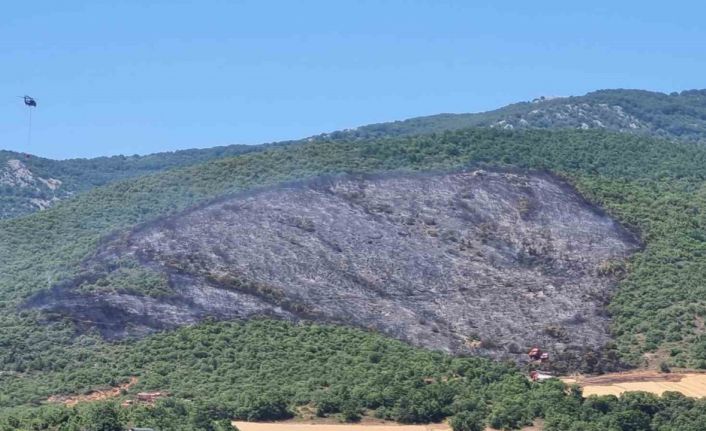Yenişehir ilçesindeki yangın söndürüldü