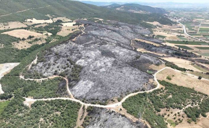 Yenişehir’de 500 futbol sahası büyüklükte alan kül oldu