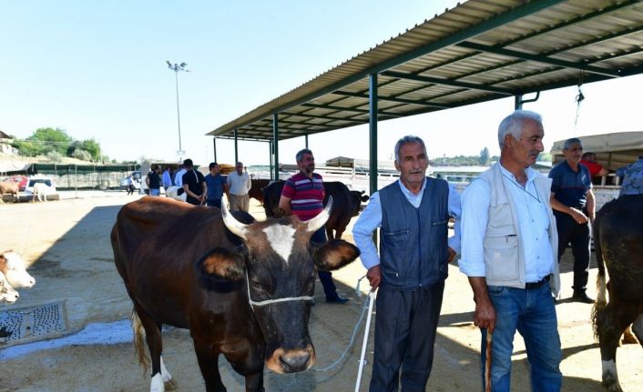 Yeşilyurt Belediyesi 41 noktada kurban satış ve kesim yeri belirledi