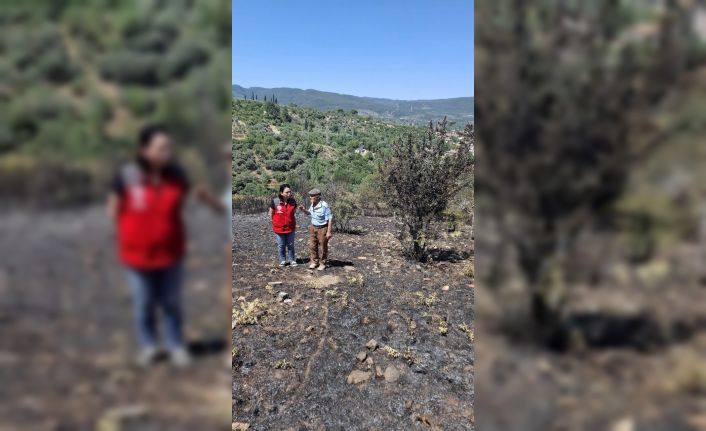 Yeşilyurt’taki yangında zarar gören tarım alanlarında hasar tespit çalışması yapıldı
